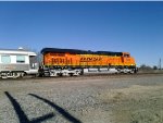 BNSF 7365